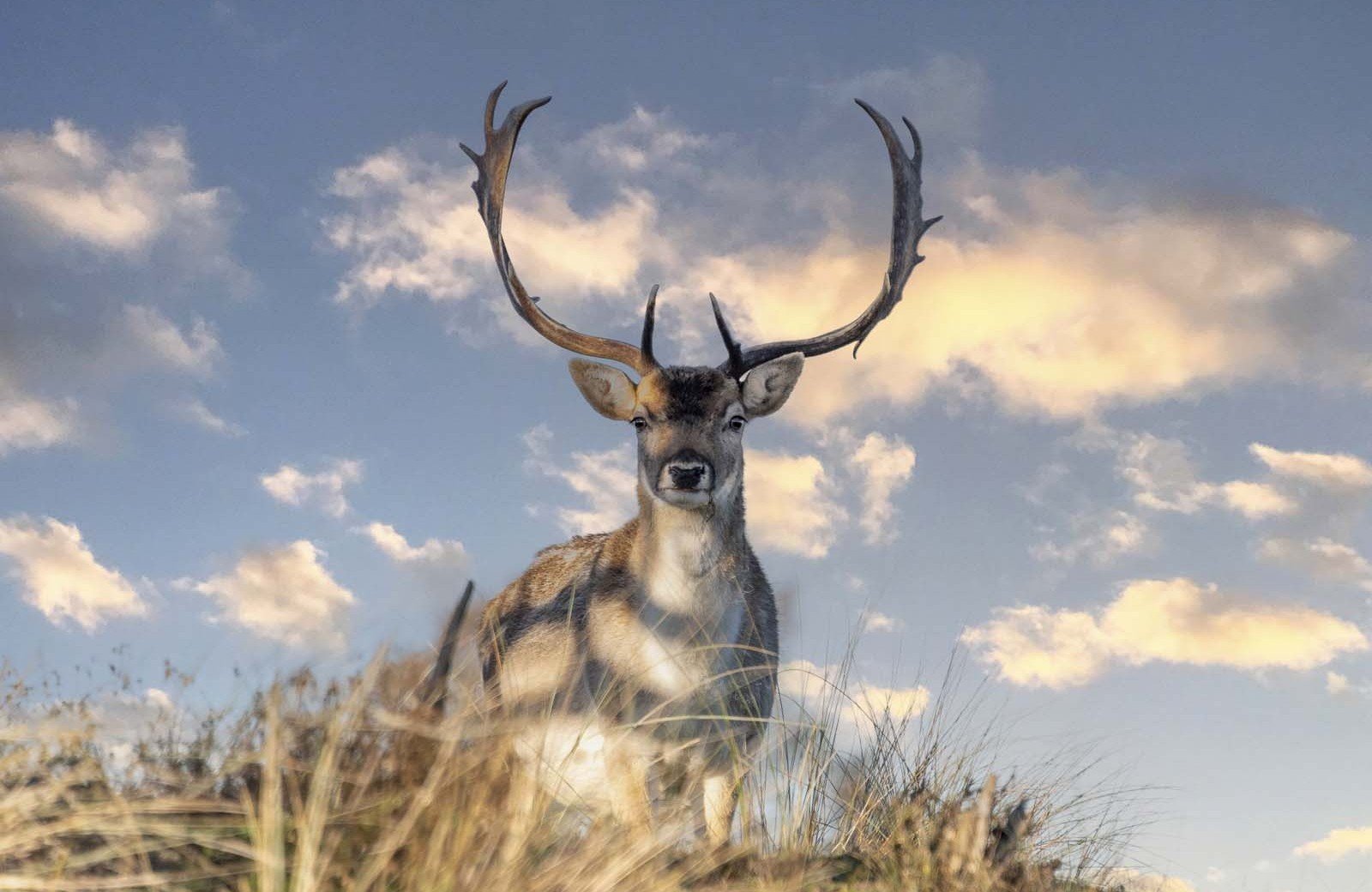 La magie de<br/><span class="ivy-mode-font"> la nature...</span>