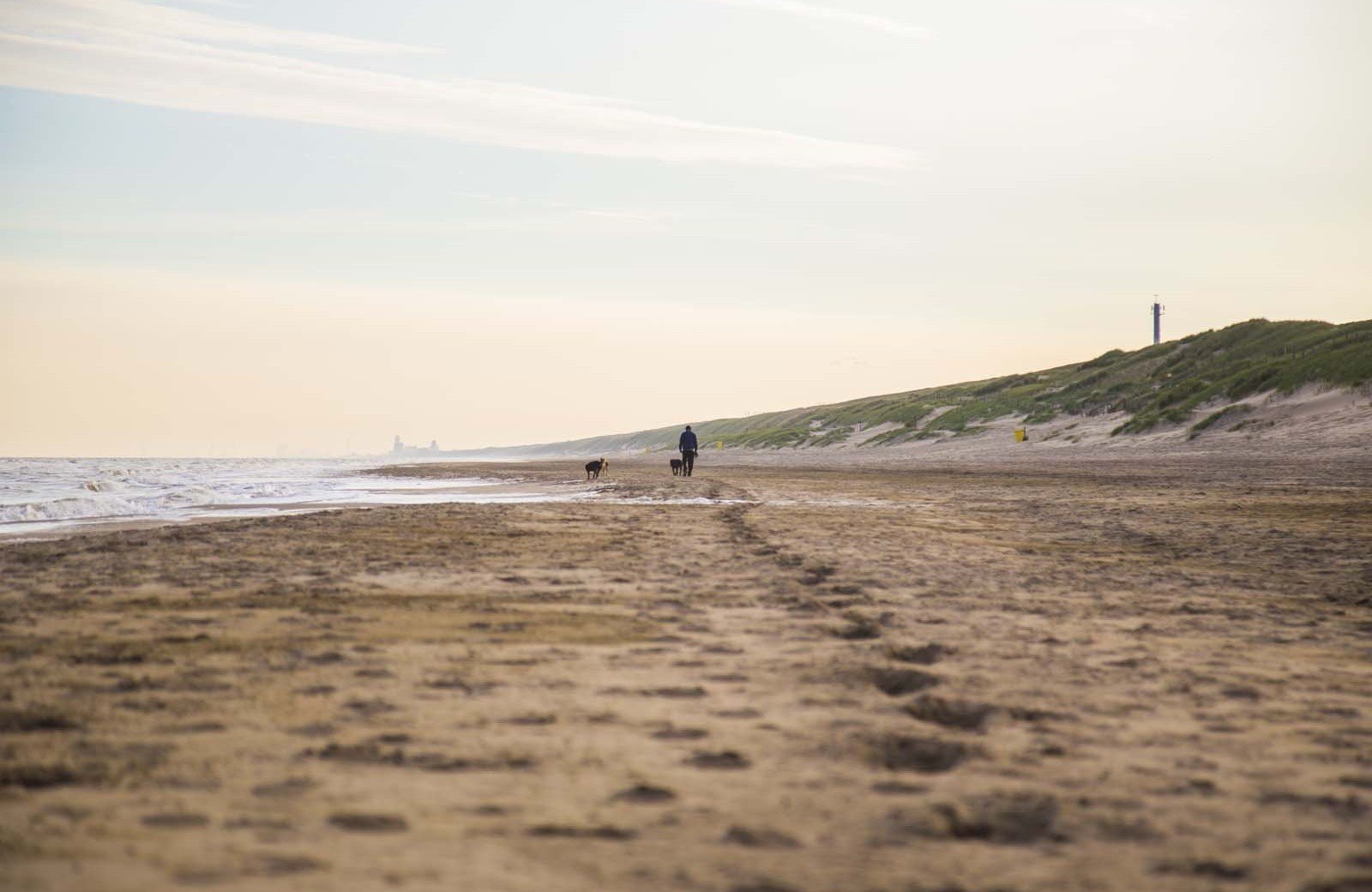 La magie de<br/><span class="ivy-mode-font"> la plage...</span>